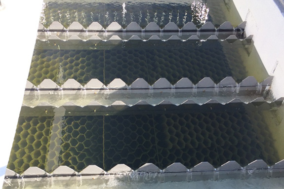 2017中國物流信息化大會(huì)的干貨分享和榮耀時(shí)刻